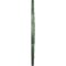 Ekena Millwork Terrones Butterfly Medallion (Canopies up to 3 7/8"), 17 7/8"OD x 3 7/8"ID x 1"P, Athenian Green CM17TSAGF - alternate 2